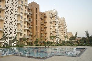 Ready to Move