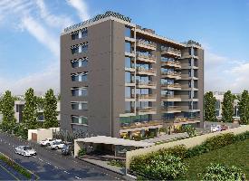Arista Eminence 14