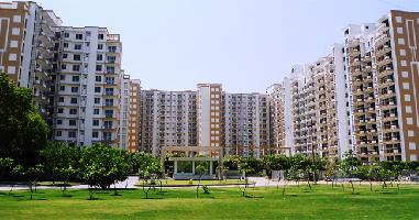 Ready to Move