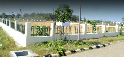Parsvnath King Citi Plots