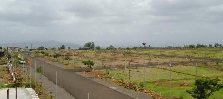 JR Greenwoods Plots