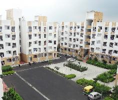 TATA New Haven Compact
