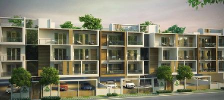 Ongoing Projects