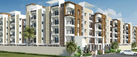 Ongoing Projects