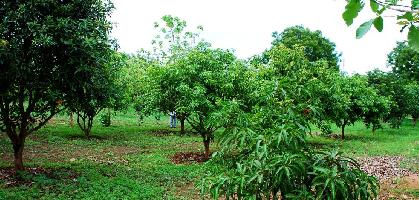 Pragati Green Valley