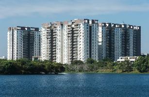 SJR Water Mark