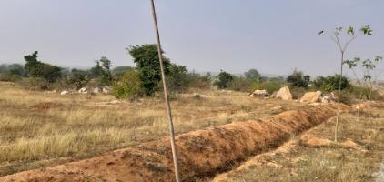 Ongoing Projects