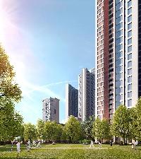Ongoing Projects