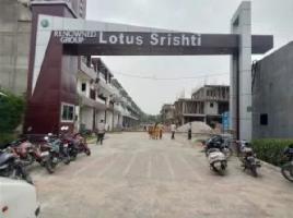 Renowned Lotus Sristhi