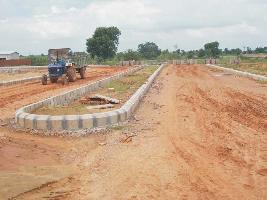 Piyush City