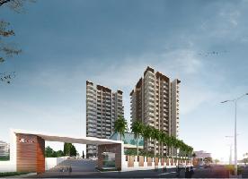 Ongoing Projects