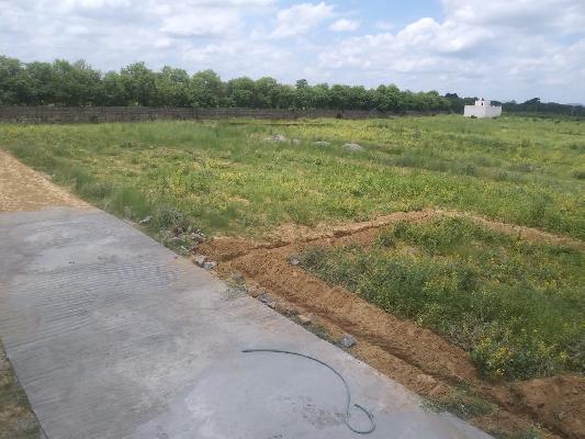 Silverwood, Behror - Residential Plots