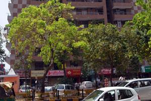 Amrapali Vaishali