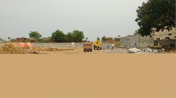 Motia Motia Citi
