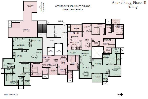 DVL Anandibaug Phase II, Pune - DVL Anandibaug Phase II