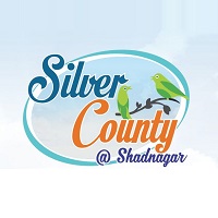 Silver County