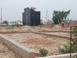 Ongoing Projects