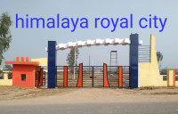 Ongoing Projects