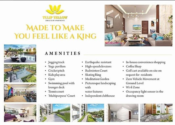 Tulip Yellow, Gurgaon - 3 BHK Apartment