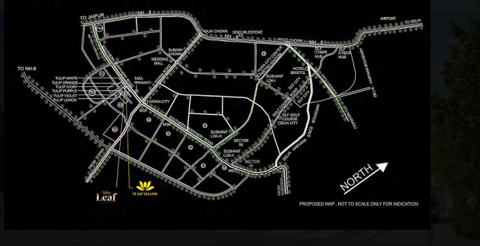 Tulip Yellow, Gurgaon - 3 BHK Apartment