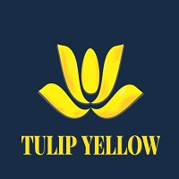 Tulip Yellow