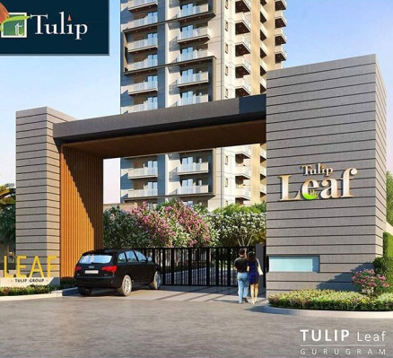 Tulip Leaf, Gurgaon - 3 BHK Residence
