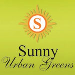 Sunny Urban Greens