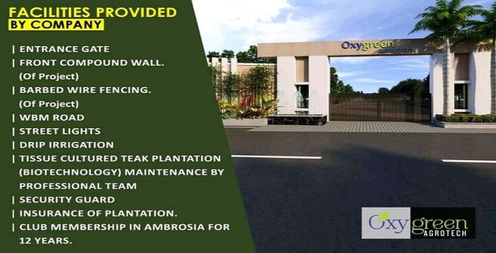 Oxygreen Farm, Nagpur - Farm Land