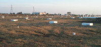 Sai Nagari