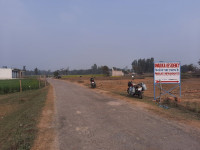 Ongoing Projects