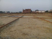 Ongoing Projects