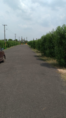 Pranav Smart City, Rajahmundry - Residential Plot