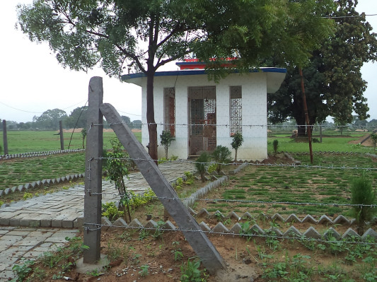Sai Maya, Bilaspur, Chhattisgarh - 1 & 3 BHK Individual Houses