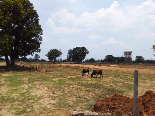 Sai Maya, Bilaspur, Chhattisgarh - 1 & 3 BHK Individual Houses