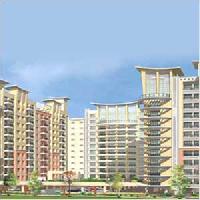 &nbsp;