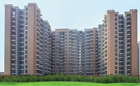 Saviour Park Elite