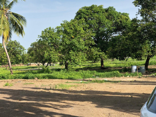 Laxmi Industrial Park, Valsad - Commercial Plots