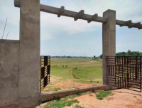 Smart Woodlands