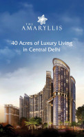 The Amaryllis Phase 2