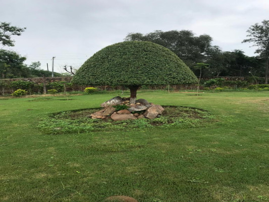 Ansal Aravali Retreat Farmhouse, Gurgaon - Luxury Farm House