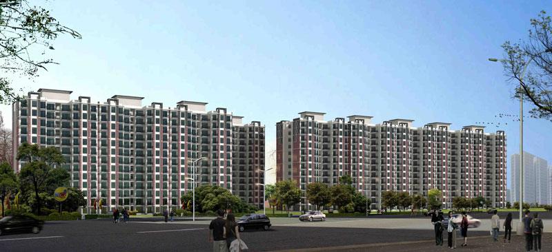 Tulip White, Gurgaon - 3 BHK Apartments