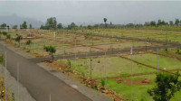 Nilanchal City