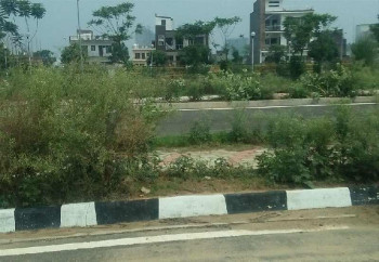 Eco City