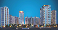 Solitairian City