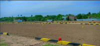 Brindavan Garden