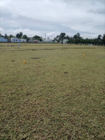 Rainbow Garden
