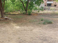 Shubham Farm