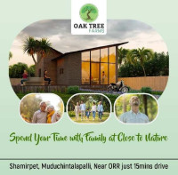 Oak Tree Farms House