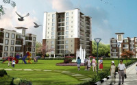 Amayra Greens I