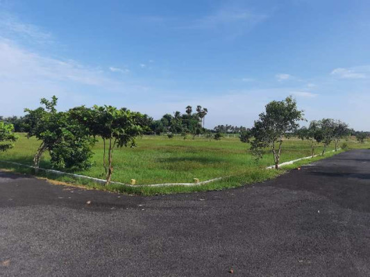 Maheshwari Garden, Thiruvallur - Maheshwari Garden